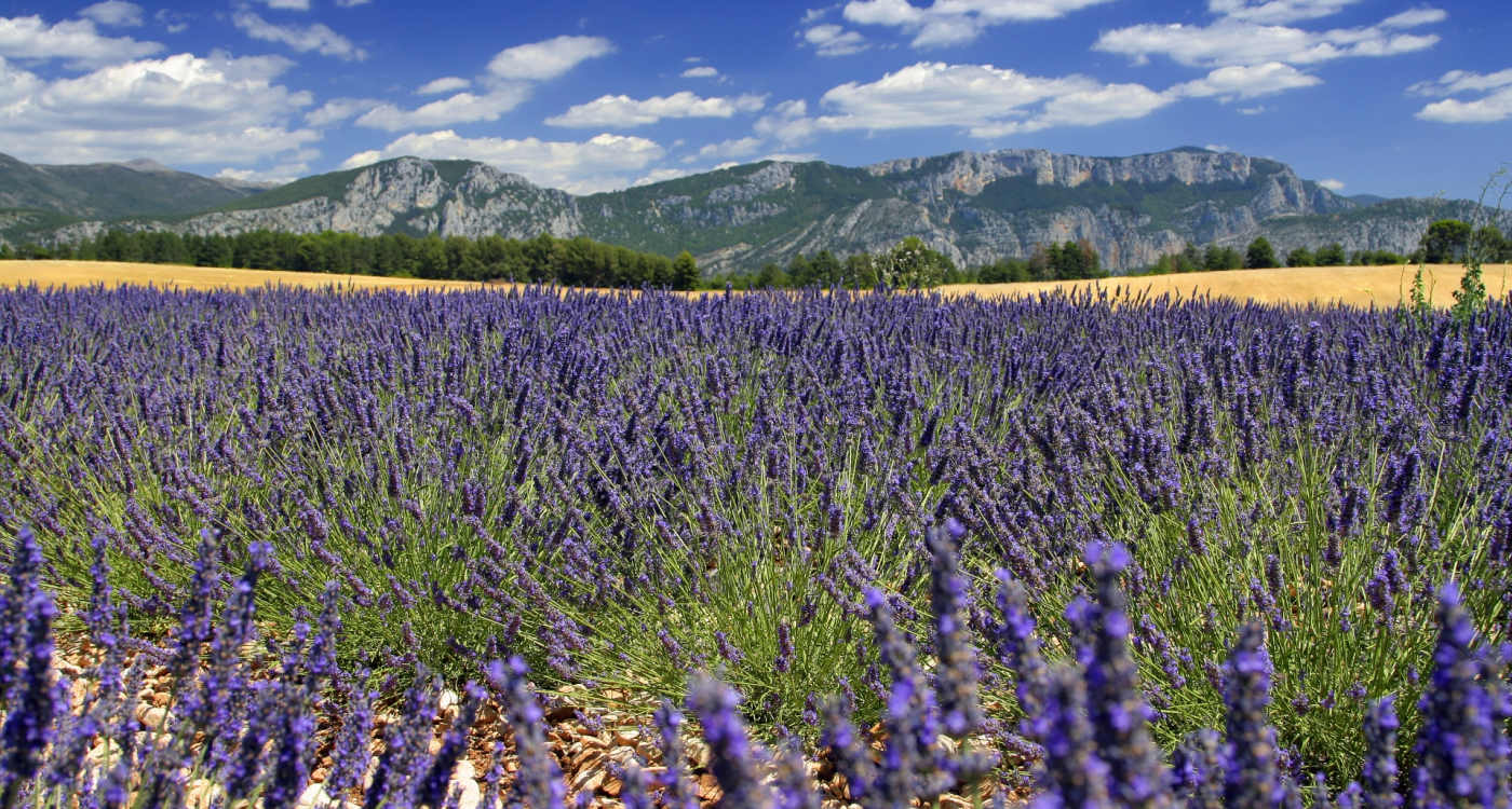 France History and Countryside Tours