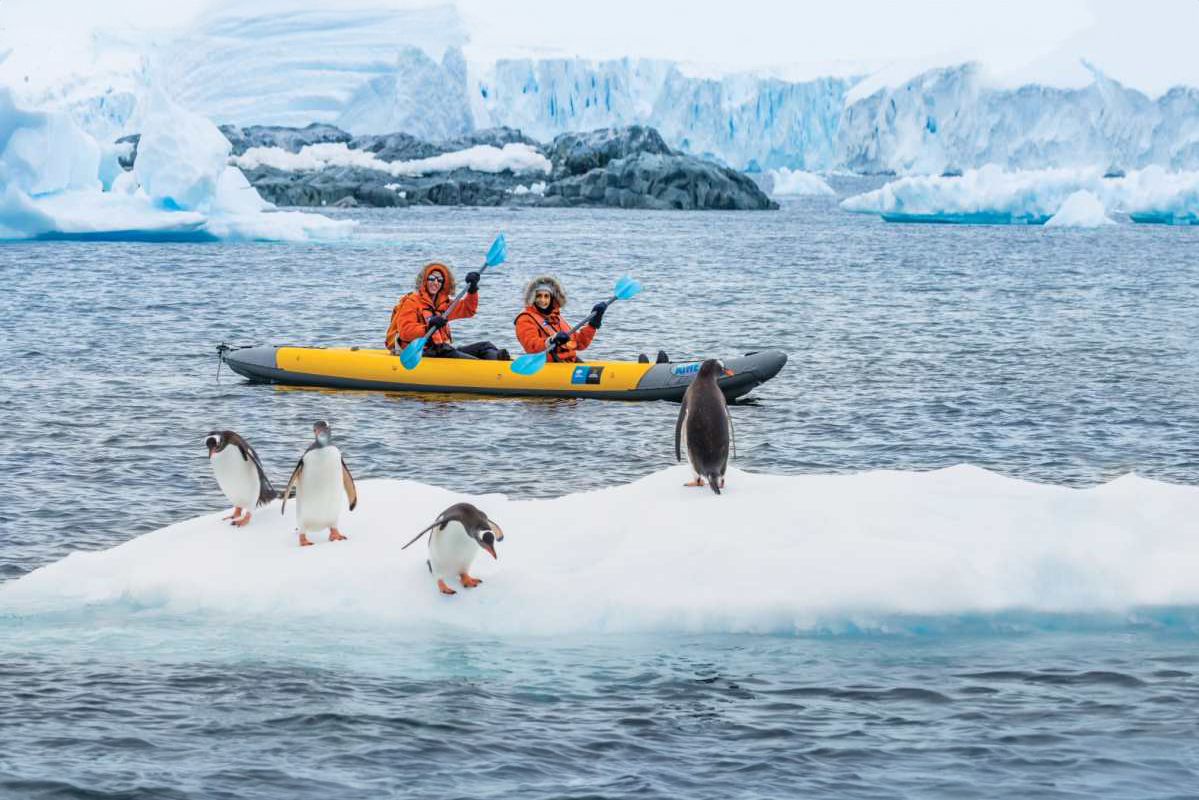 Go on a Voyage to Antarctica