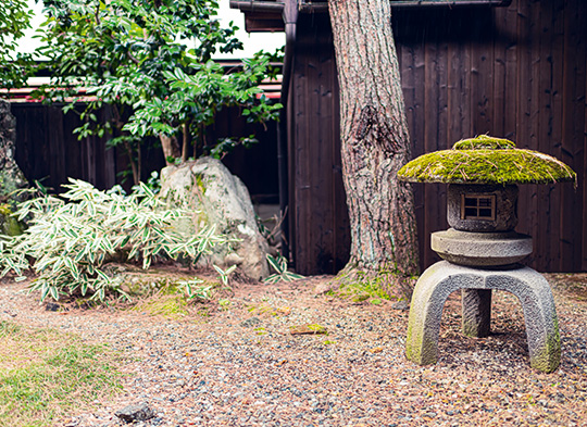 Outdoor area of a ryokan with some trees and lantern