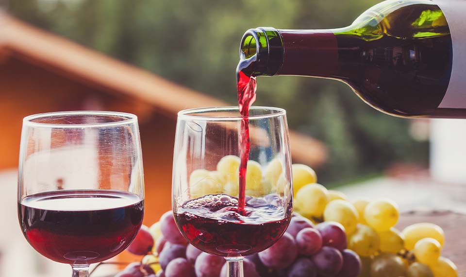 The Best South African Vineyards