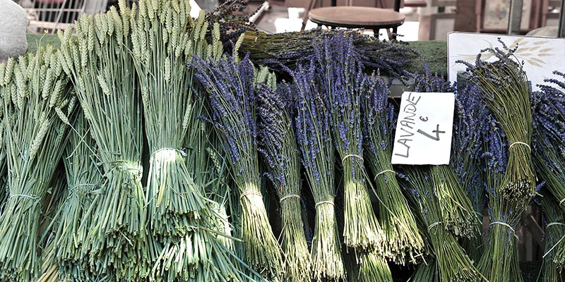 The Best Markets in the South of France
