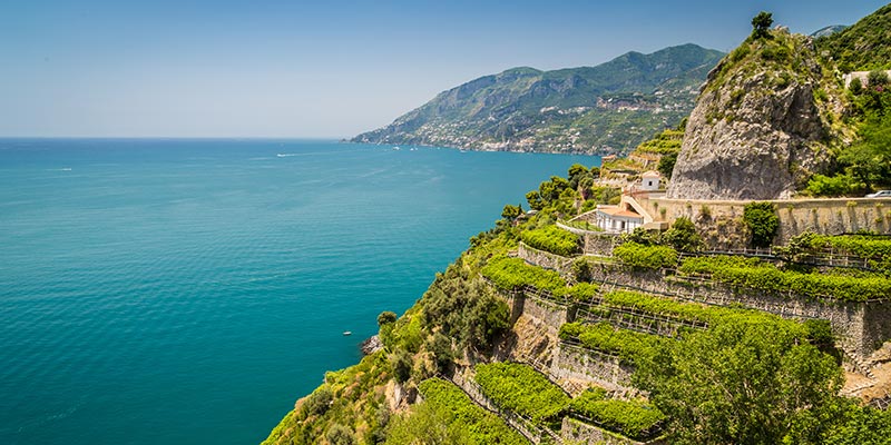 A hillside overlooking the sea