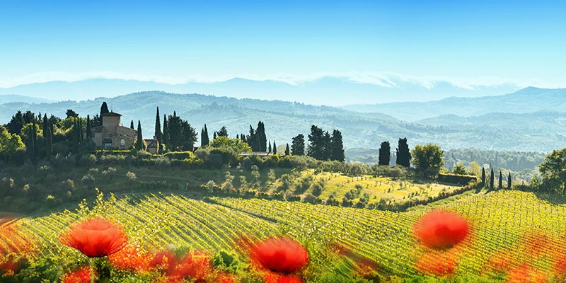 Rolling green hills with mountains in the background