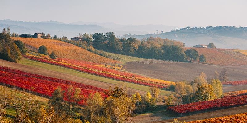 Rolling hills of farmland in autumn