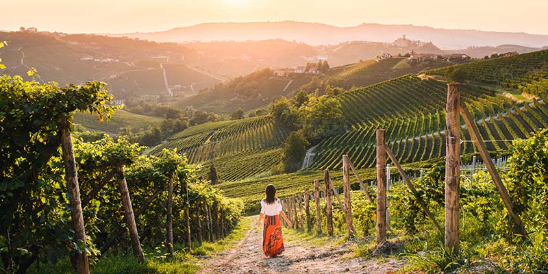 A woman walking through a vineyard