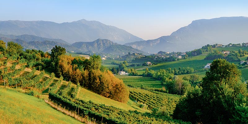 Rolling green hills and farmland