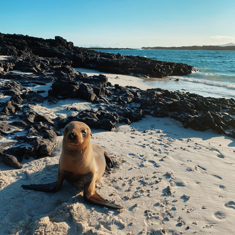 Galapagos Islands
