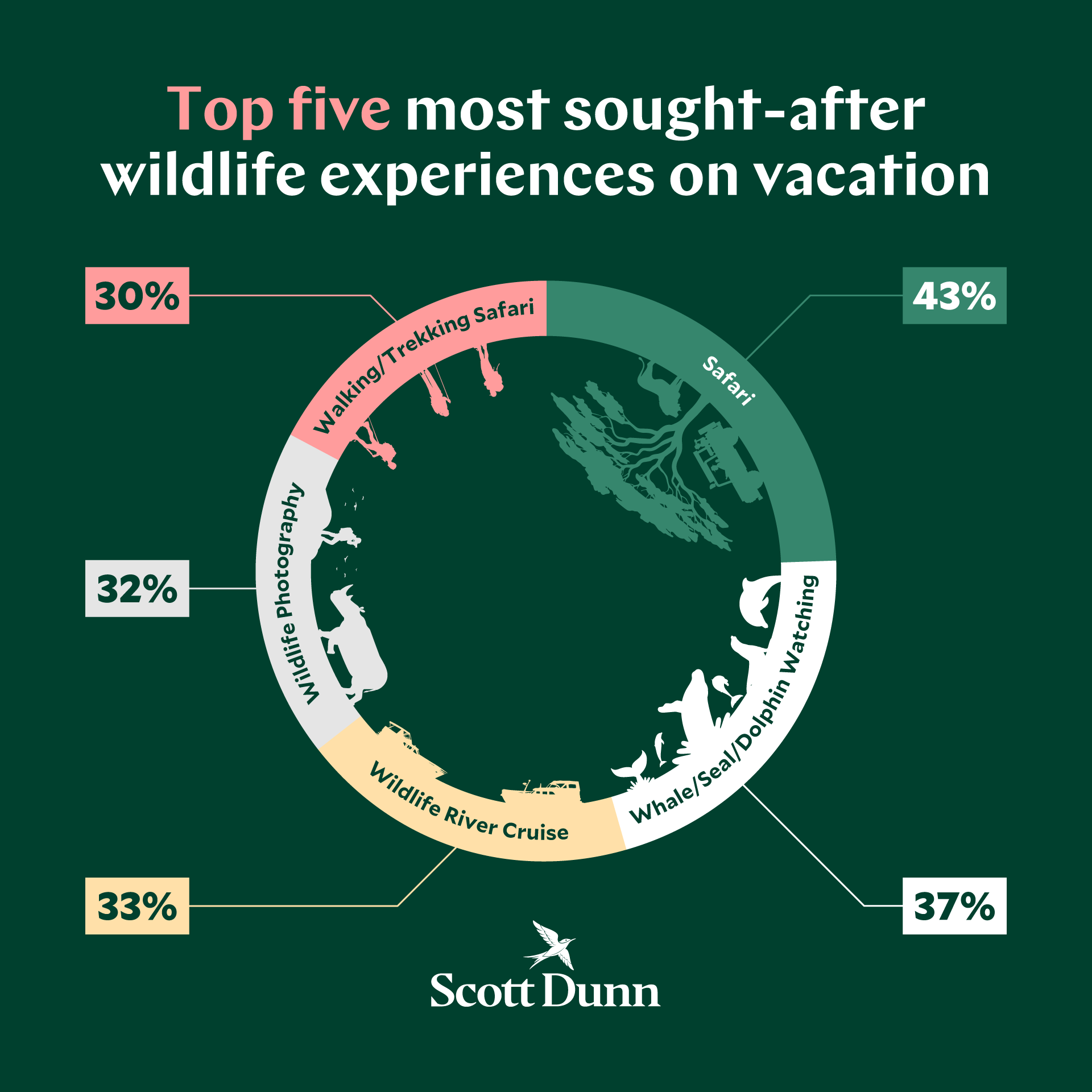 Top 5 most sought after wildlife experiences on vacation