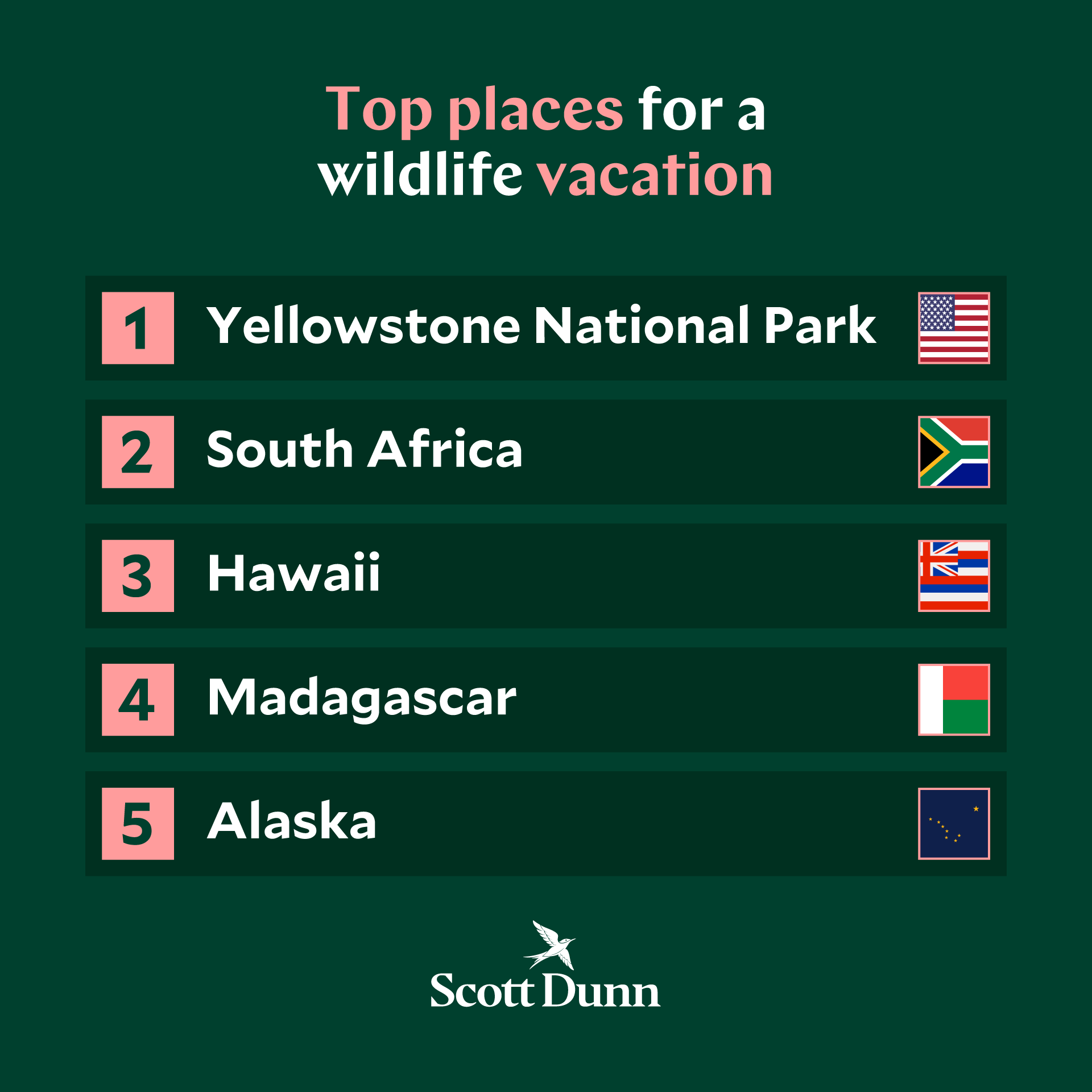 Top places for a wildlife vacation