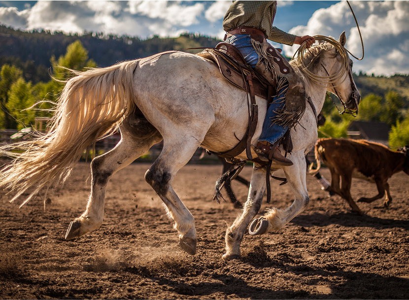 Rodeo roping at the Ranch at Rock Creek