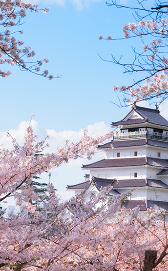 Sakura, Japan