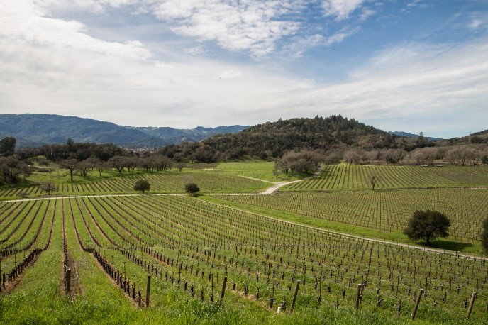 Napa Valley