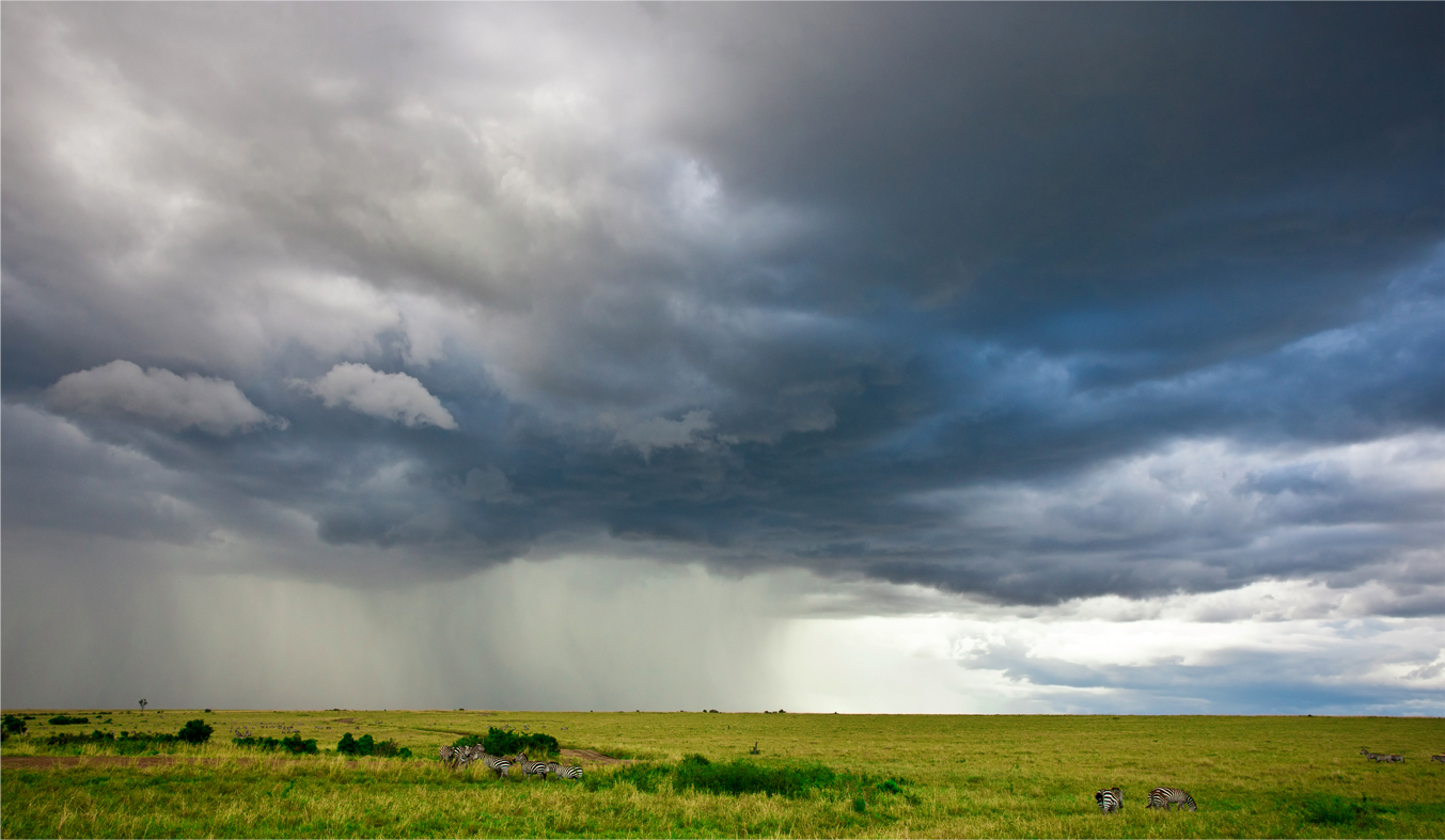 Rains on safari