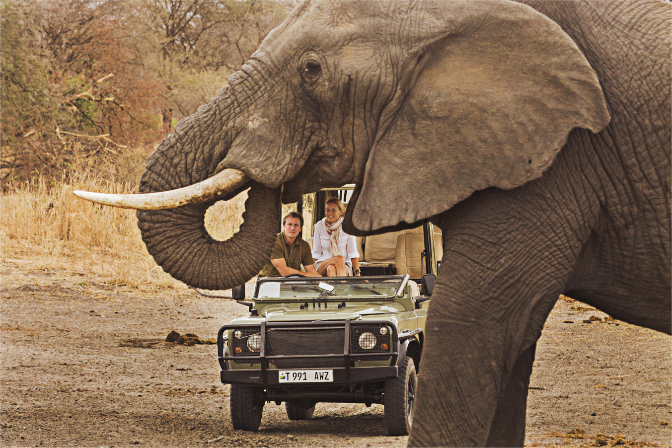Spectacular wildlife viewing on safari