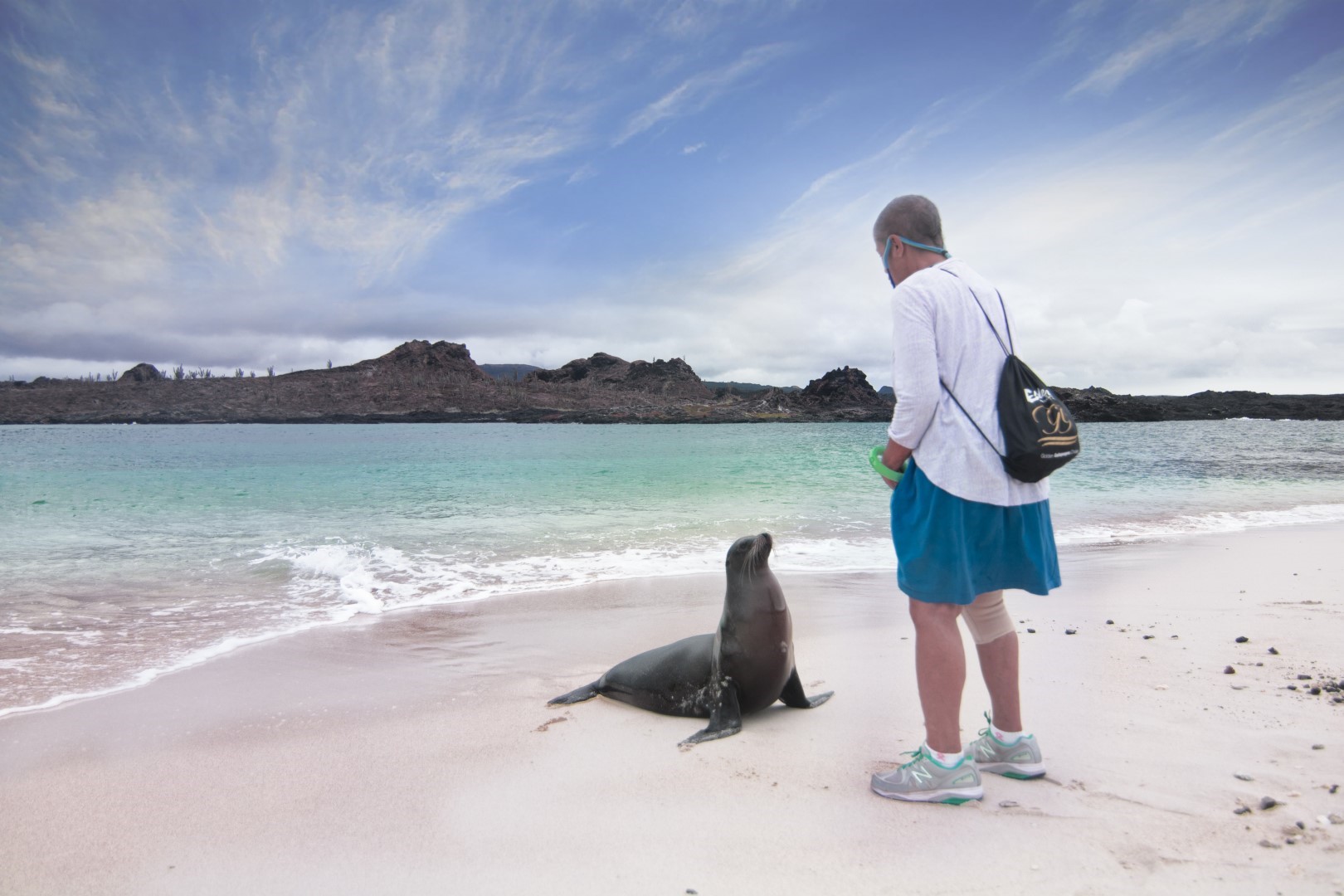 Meeting a sea lion in the Galapagos