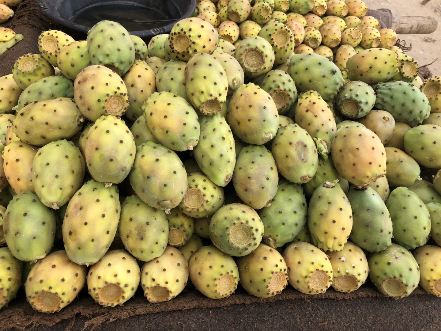 Cactus Fruit