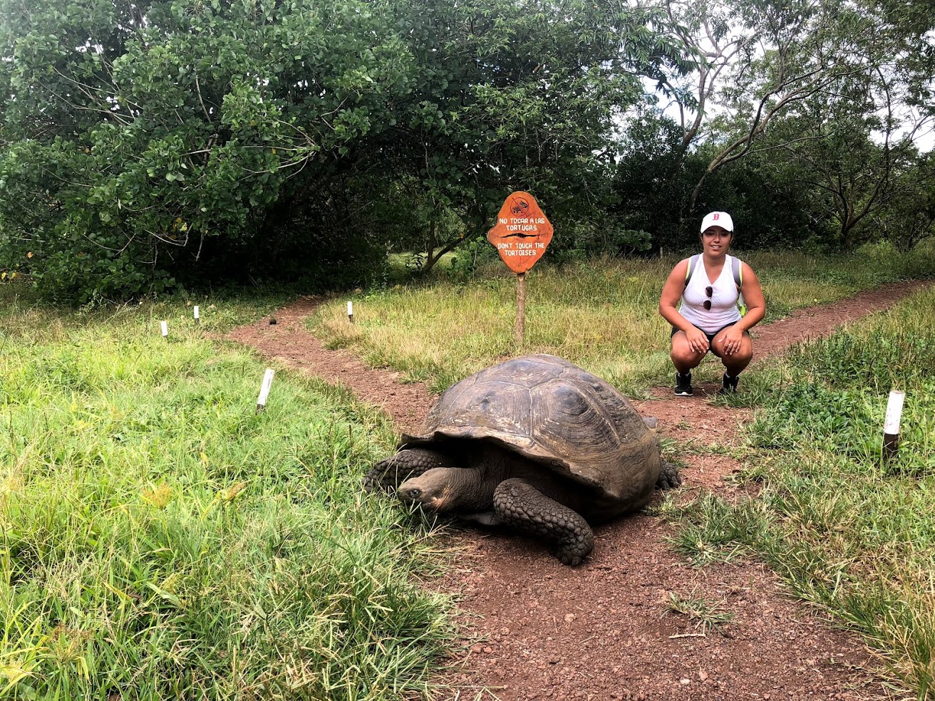 Ali hanging out with a giant tortoise in the Galapagos