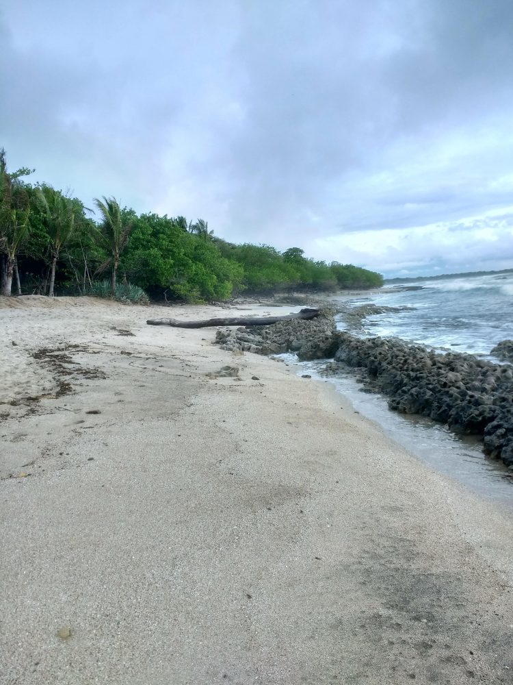 Playa Langosta