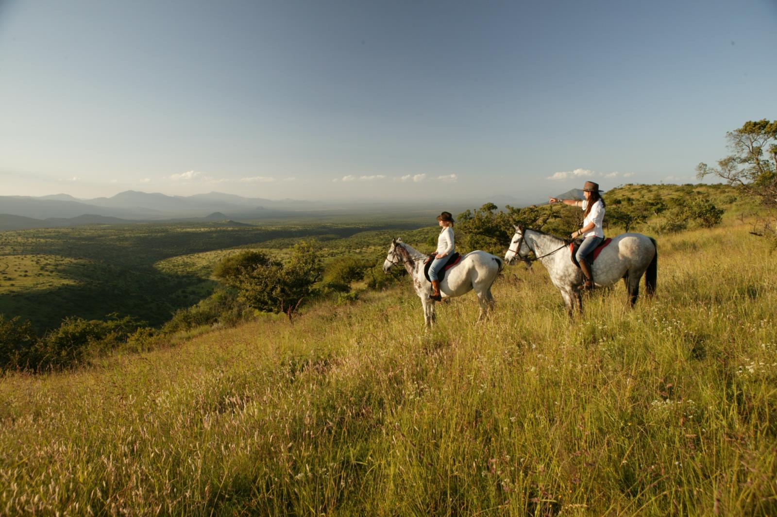 Horse Riding