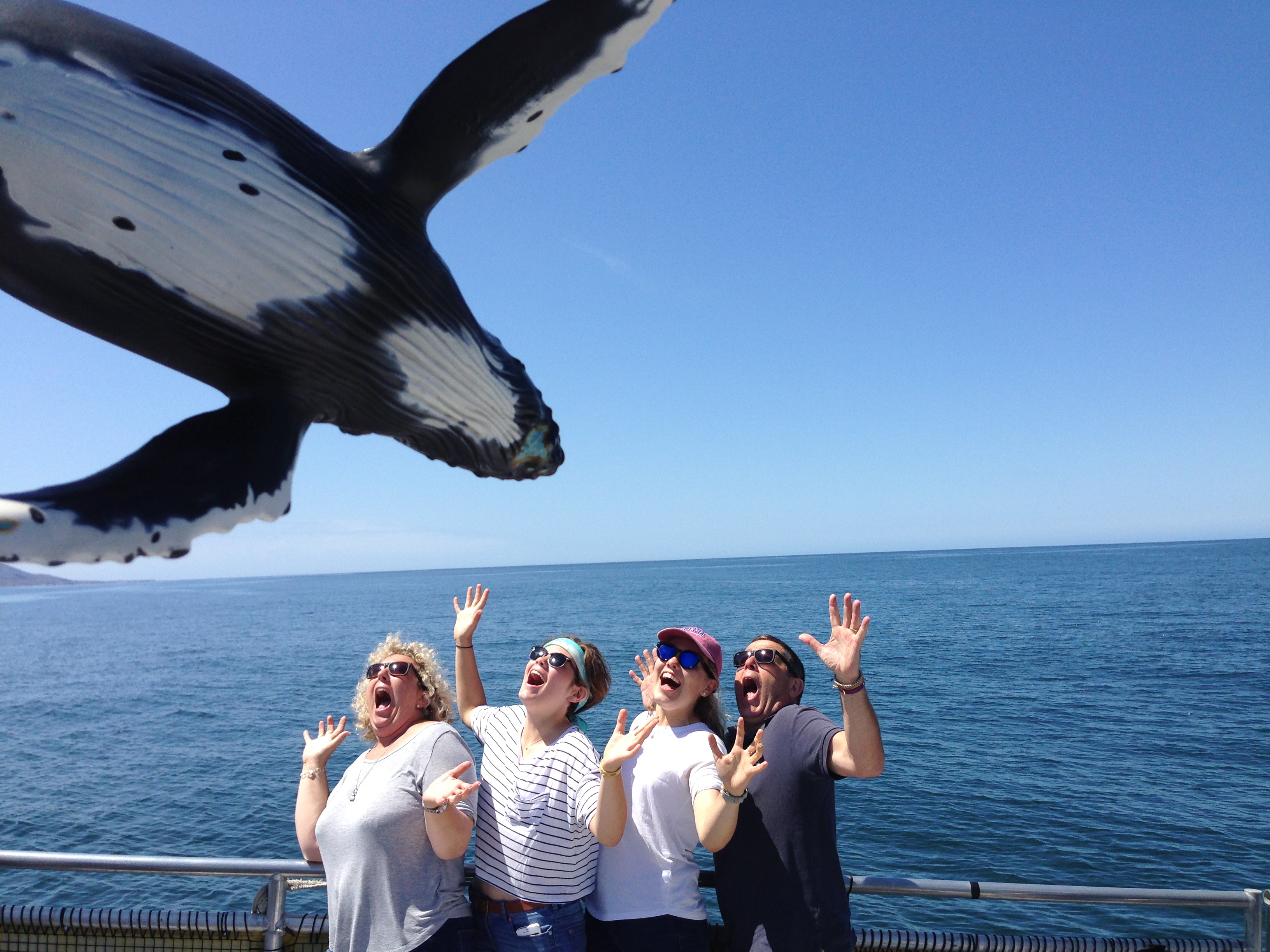 Whale-watching at Universal (!)