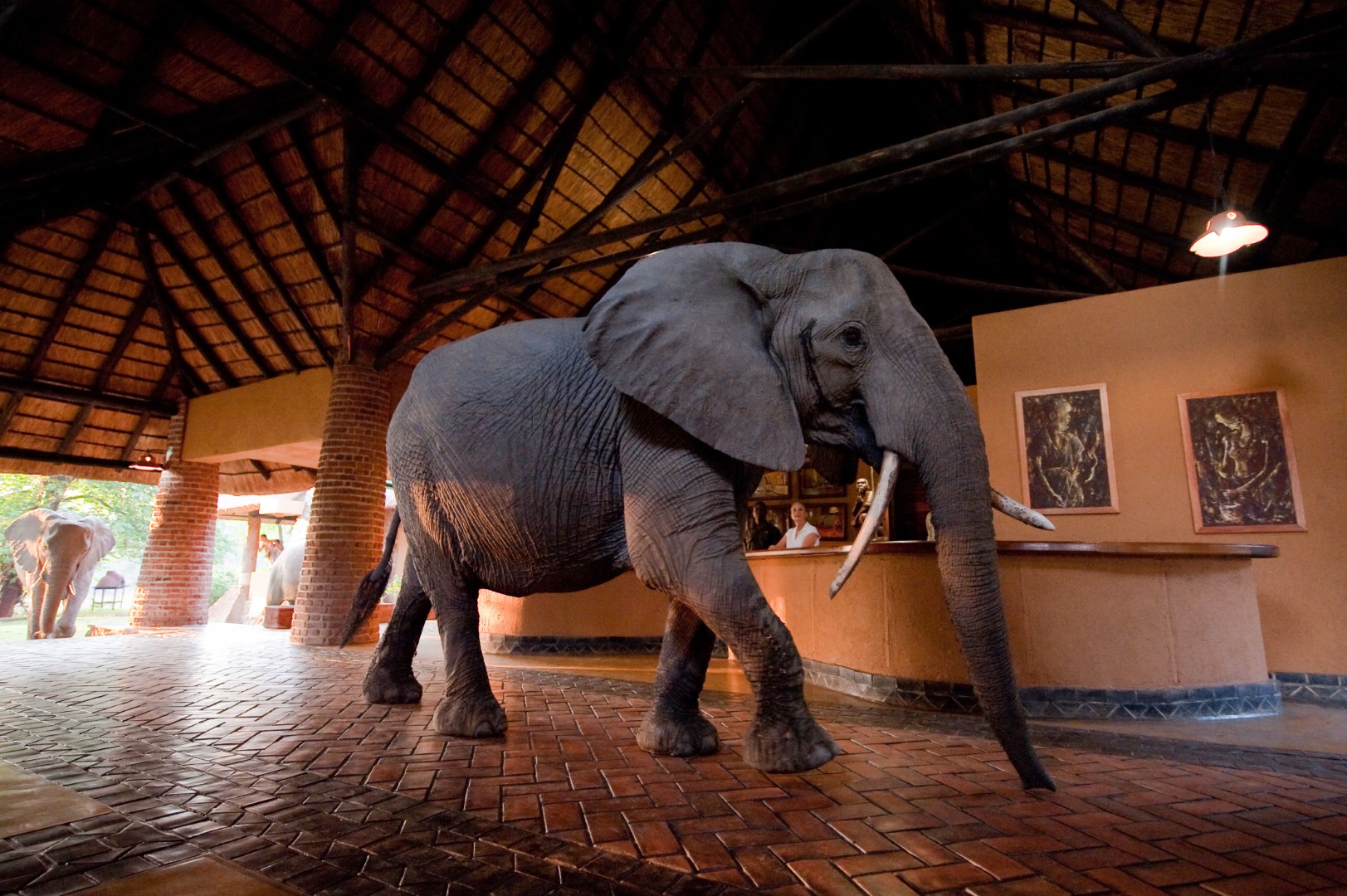 Mfuwe Lodge