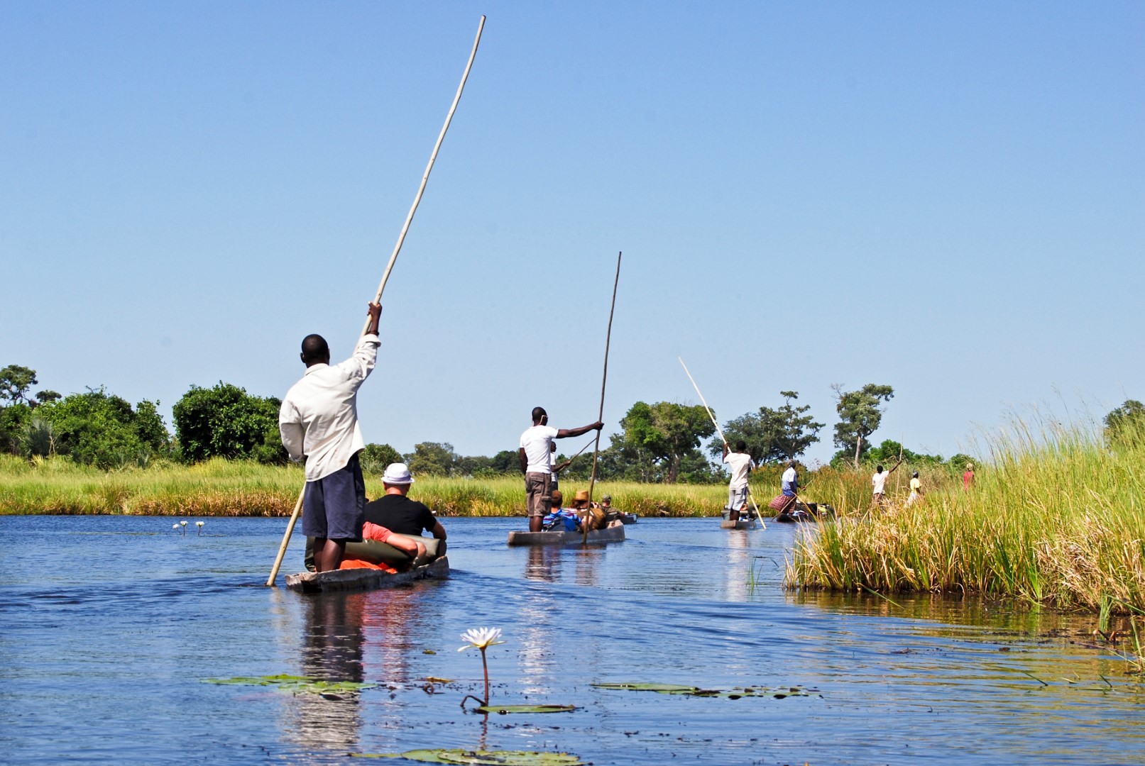Mokoro rides down the Okavango Delta